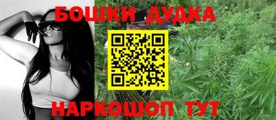 индика Аргун